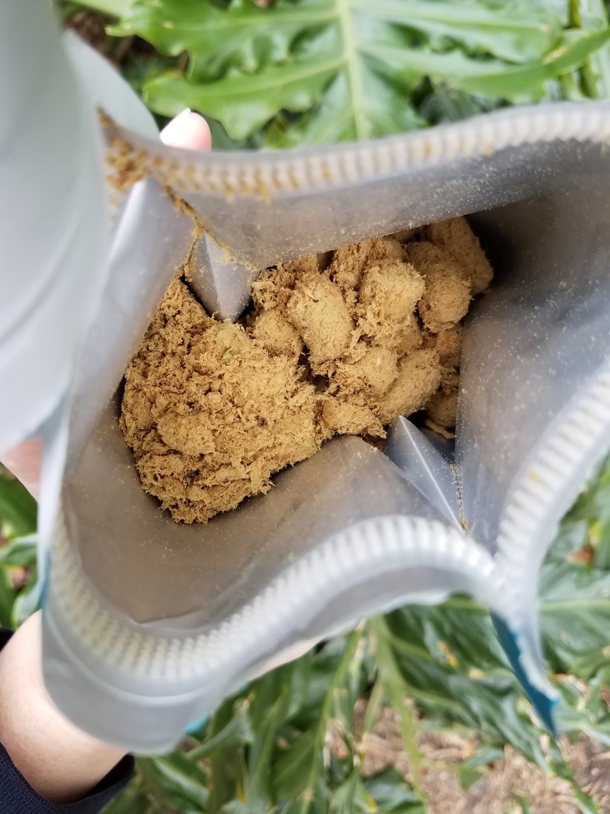 nulo freeze dried raw dog food