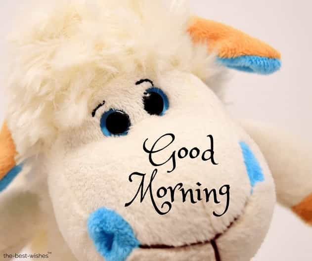 Teddy Bear Wallpaper Good Morning The Galleries Of Hd Wallpaper