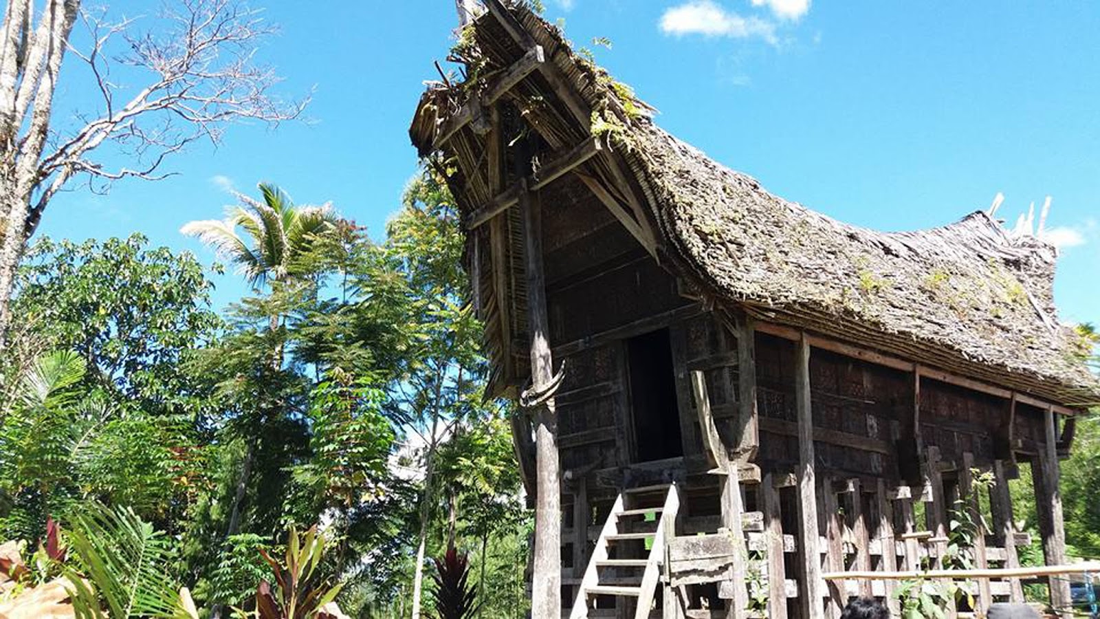 Objek Wisata Gua Alam Sa'pak Bayo - Bayo Objek Wisata Gua Alam Sa'pak Bayo - Bayo