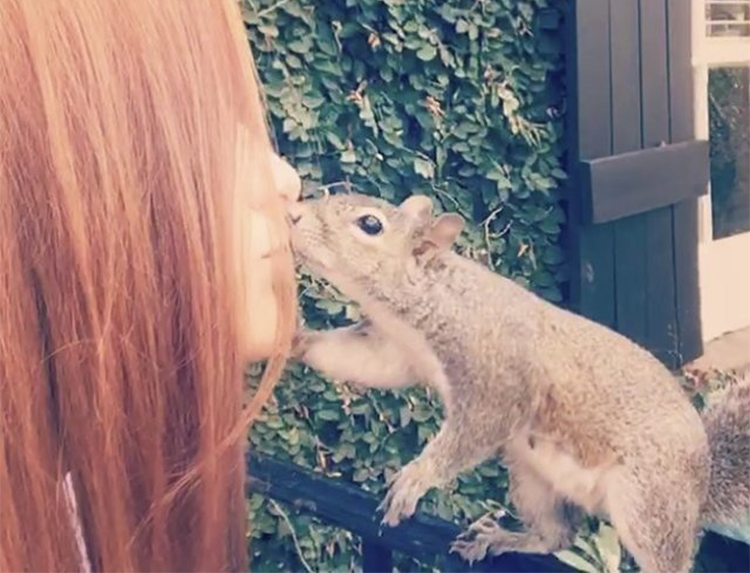 squirrel returns to the family who saved her 7 years a go