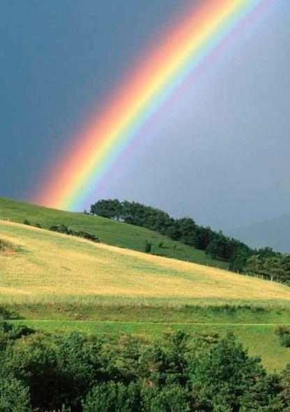 METEOROLOJİ GÖKKUŞAĞI GÖRÜLECEĞİNİ ÖNCEDEN TAHMİN EDEMEZ Mİ?