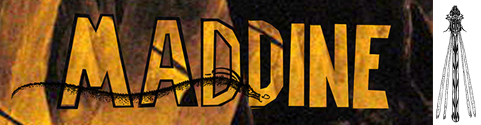 Maddine 025 "Los sueños de Maddine"