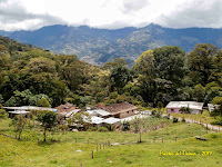 80 Fotografías Travesía - La Laguna municipio Guásimos hasta Borotá municipio Lobatera