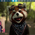 Try this amazing application for Android and iPhone that changes your face to animal faces and speak the same words and movement you do