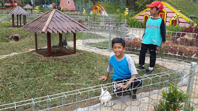 Perkebunan Teh Gunung Mas Puncak agrowisata