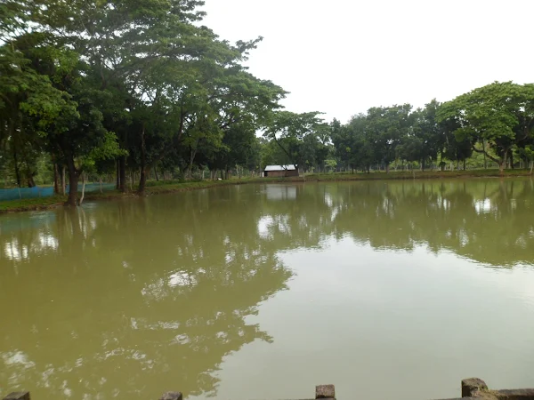 pond, pond management, management of pond, photo of pond, pond picture