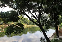 danau kebun binatang ragunan jakarta
