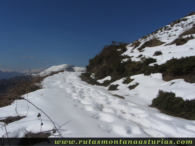 Pista con nieve