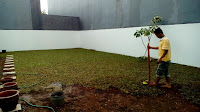 TUKANG TAMAN CIMANGGU,JASA PEMBUAT TAMAN RUMAH TUKANG TAMAN CIMANGGU,JASA PEMBUAT TAMAN RUMAH