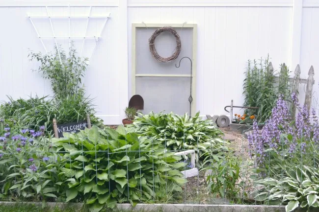 Garden with screen door in background