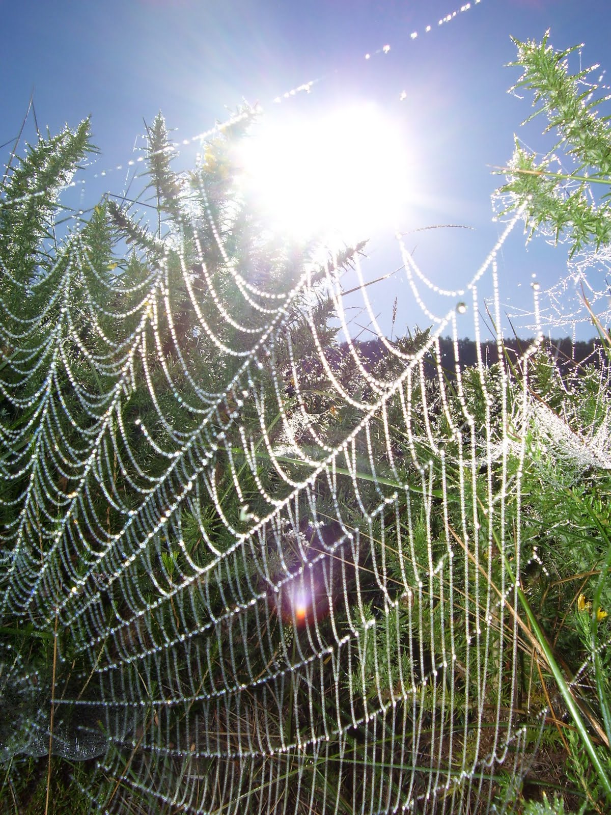 Bar Hijedo Alfoz de Santa Gadea