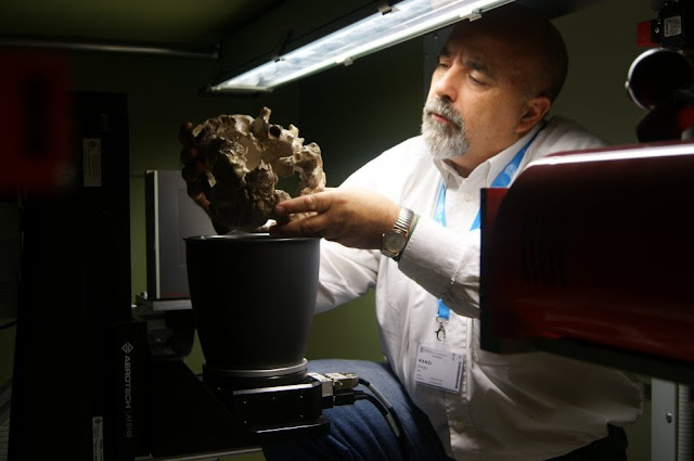 Skull of Italy's 400,000 year old 'Man of Ceprano' digitally reconstructed Skull of Italy's 400,000 year old 'Man of Ceprano' digitally reconstructed