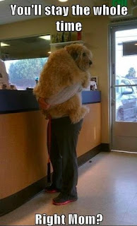 Dog Humor: you'll stay with me right?