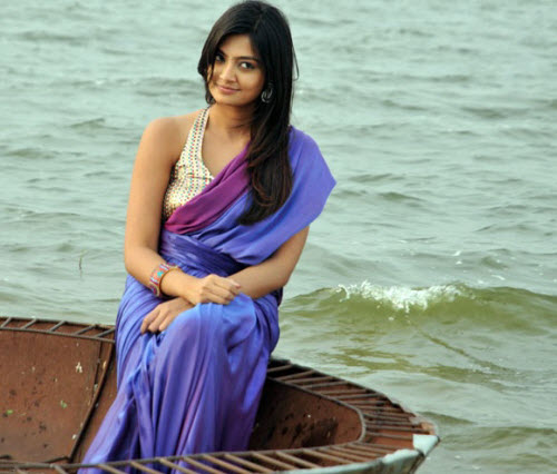 nikitha narayanan . actress pics