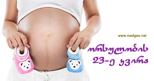 ორსულობის 23-ე კვირა