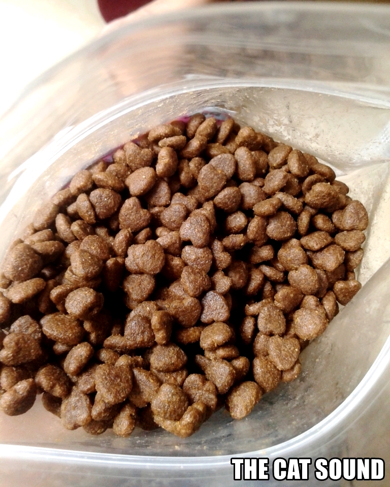 The Cat Sound Review Makanan Kucing Eureka Kitten Holistic Cat Salmon & Rice Dry Food