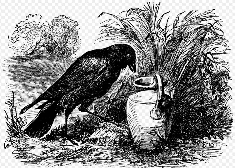 download the crow and the pitcher download the crow and the pitcher
