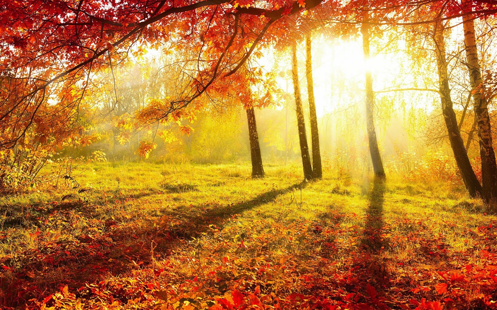 Autumn