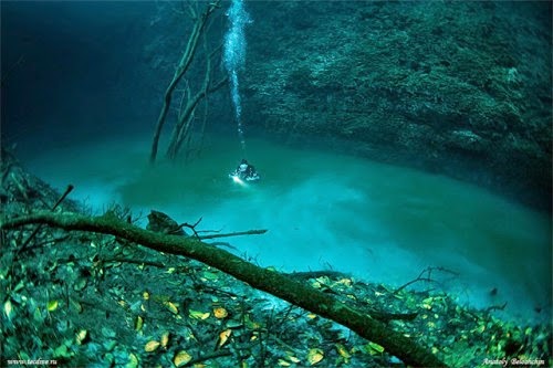 Cenote Angelita, Mystical Underwater River in Mexico Cenote Angelita, Mystical Underwater River in Mexico