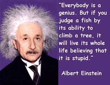 MC FÜBBment: Inspirational Words: Albert Einstein