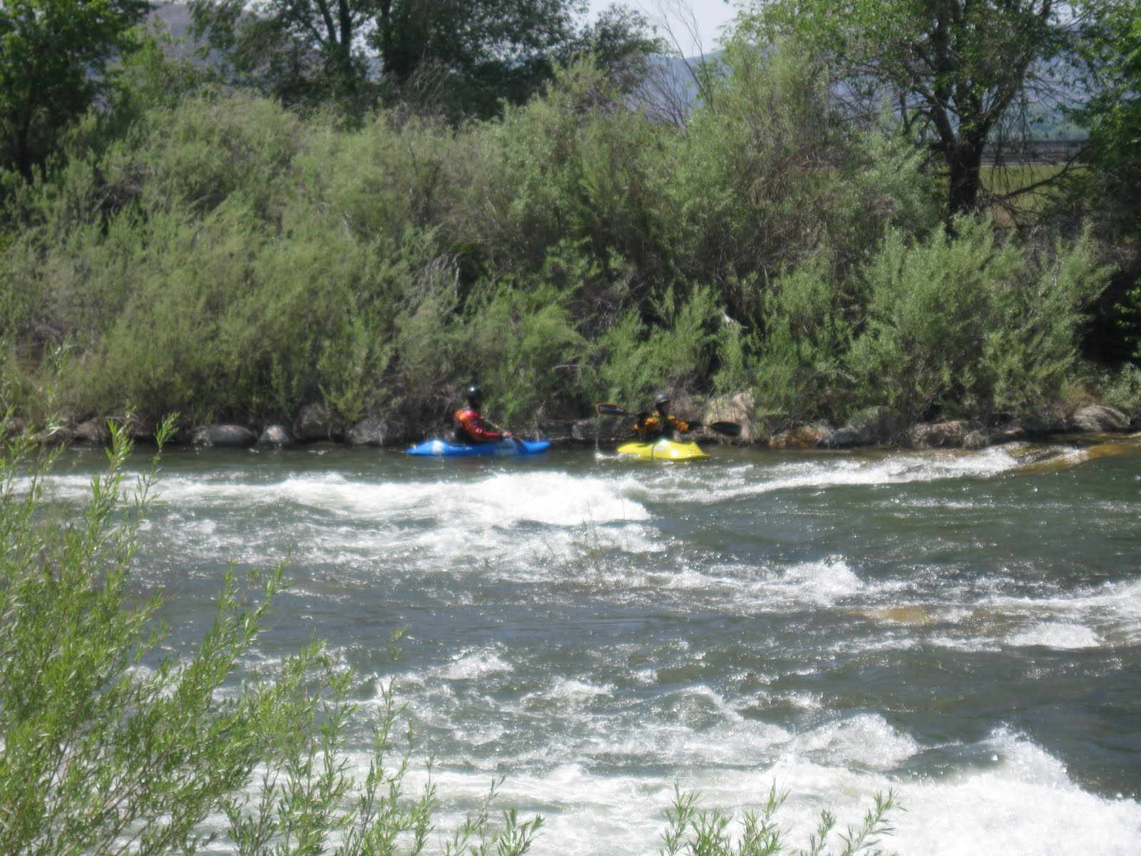 RoadhogUSABertoni Sparks,NV (River's Edge RV Park)