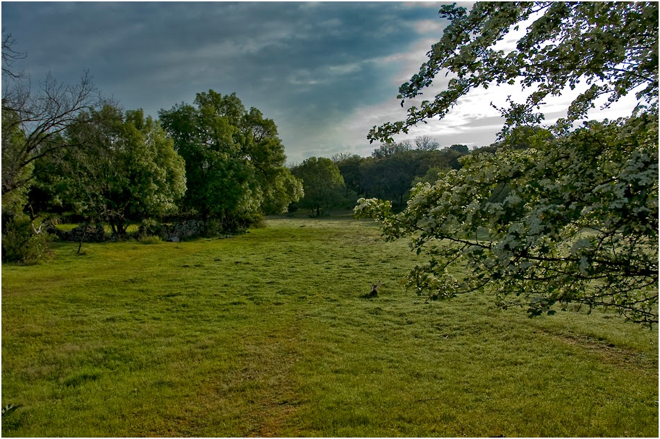 Naturaleza y Etnografía La Ramajería (2ª parte)