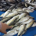 Jahil ilmu kahwin, salah beli ikan punca cerai di Terengganu