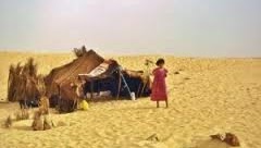 Pengertian Cultural Lag