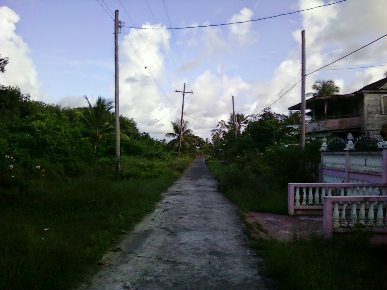 Guyana "Land Of Many Waters" West Bank Berbice, Blairmont My new