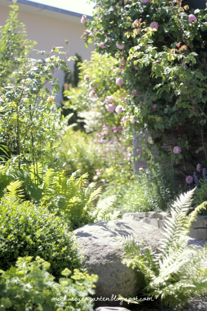 Ein Schweizer Garten All You Need