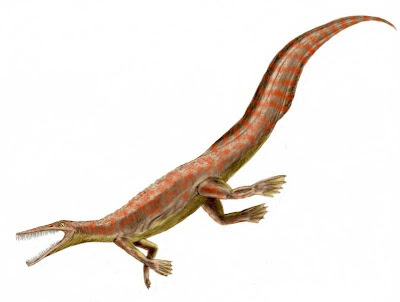 reptiles marinos del permico Mesosaurus