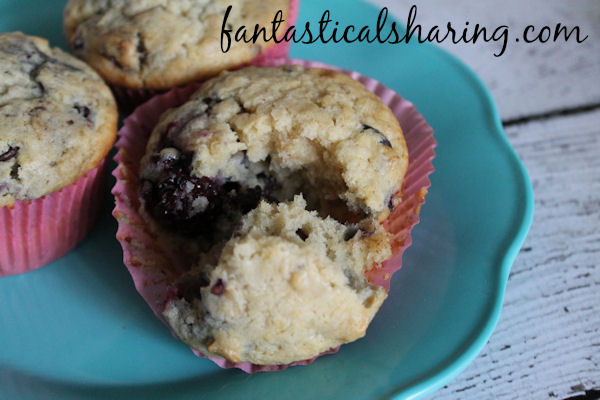 Blackberry Chocolate Chip Muffins |  Have you ever had a malted muffin with berries and chocolate? No?!  Well then, you must try this recipe! #recipe #chocolate #blackberry #muffin