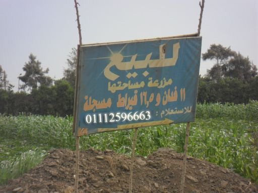 مزارع للبيع : مزرعة بطريق مصر اسيوط الزراعى  11 فدان و16,5 قيراط