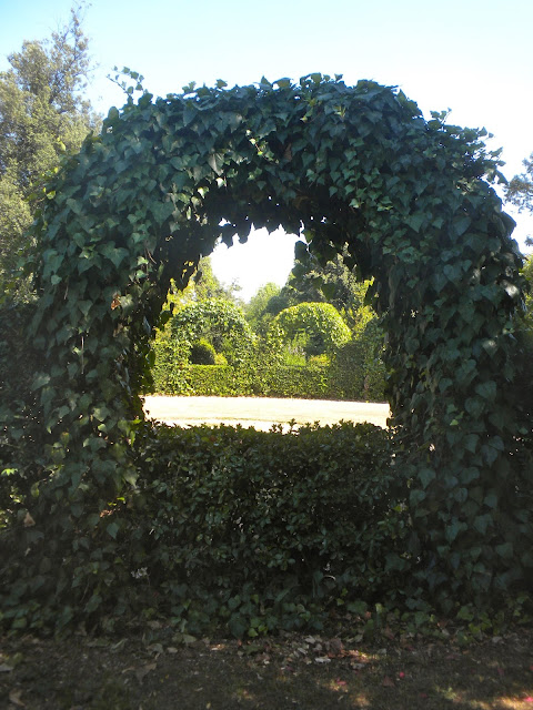 unidentified green folly surrounded by ivy-covered arches: a small equestrian arena perhaps?