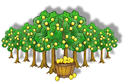 clipart tree orchard garden parts kindergarten plant branches clip worksheet drawing clipground cliparts guide pm posted unknown
