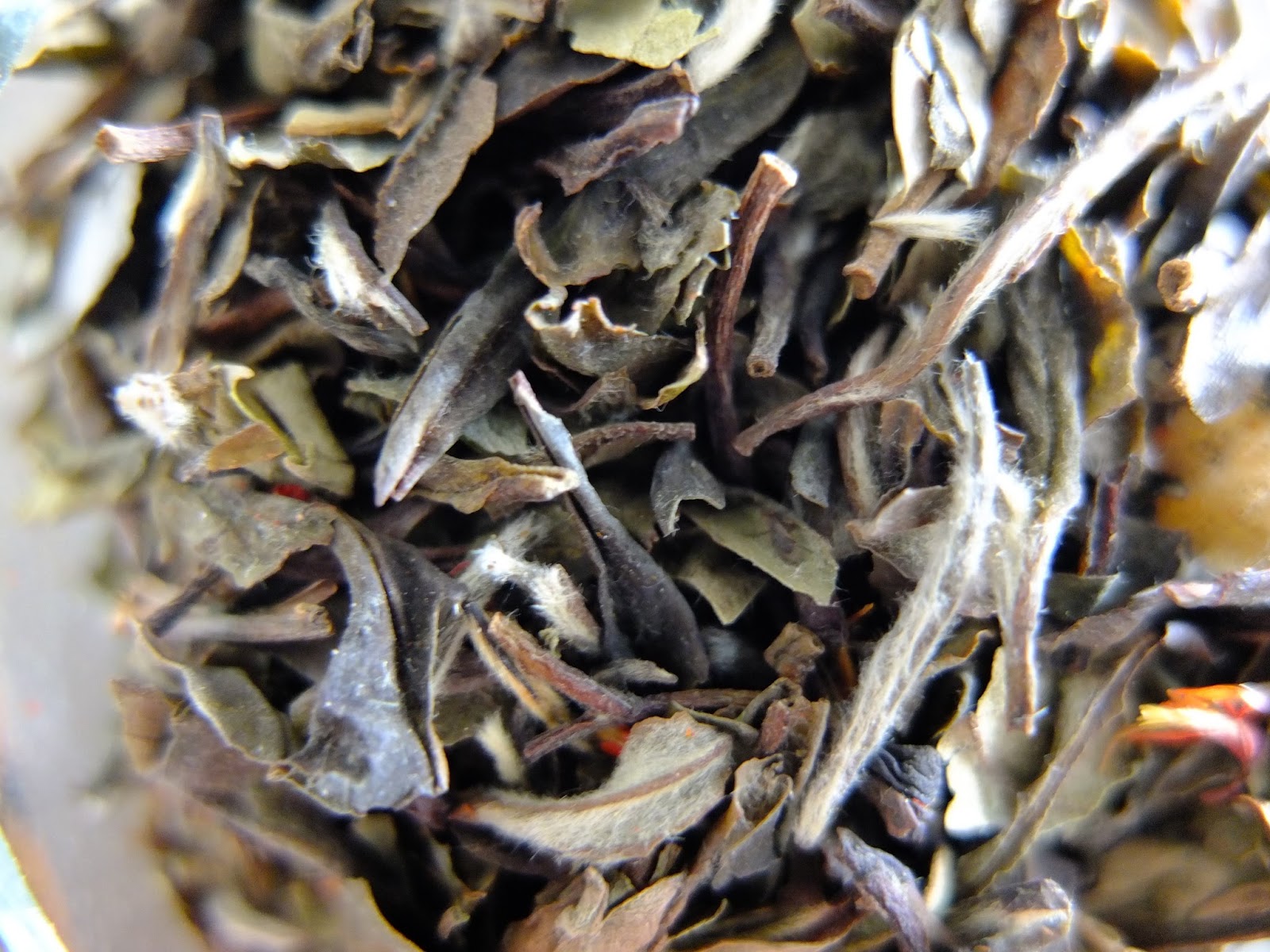 Adventures In Menu Collecting White Cloud Tea