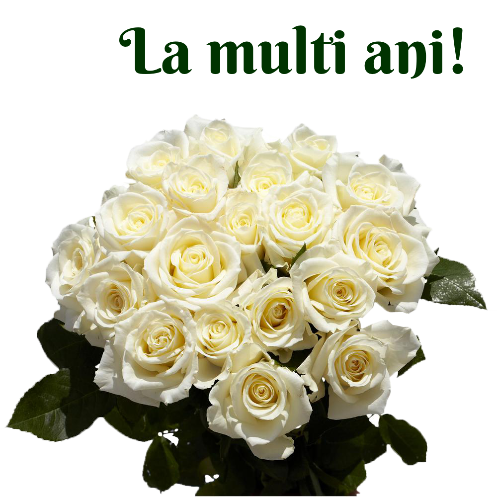 Felicitari Personalizate De La Multi Ani Cu Flori Pagina | My XXX Hot Girl