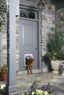 Dog exiting through Passport Intelligent Dog Door