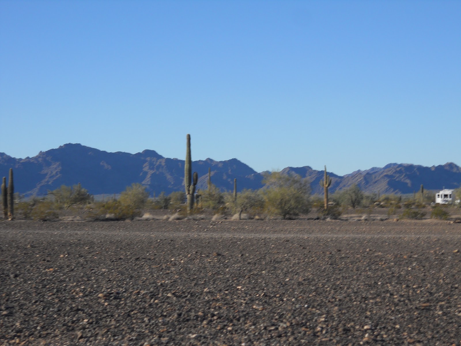 Mike and Kelly Big Adventure Quartzsite AZ January1, 2013