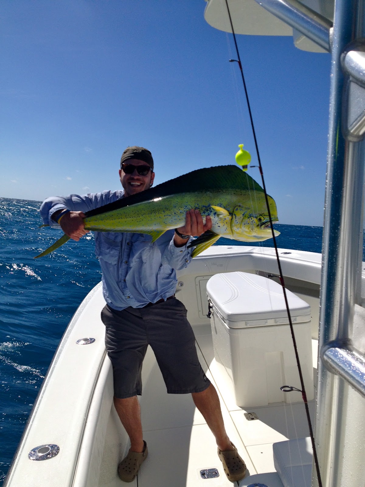 Flies and Lies MahiMahi