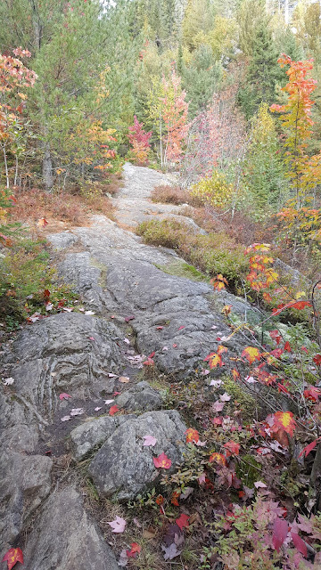 Cap rocheux sur le sentier du mont Brassard
