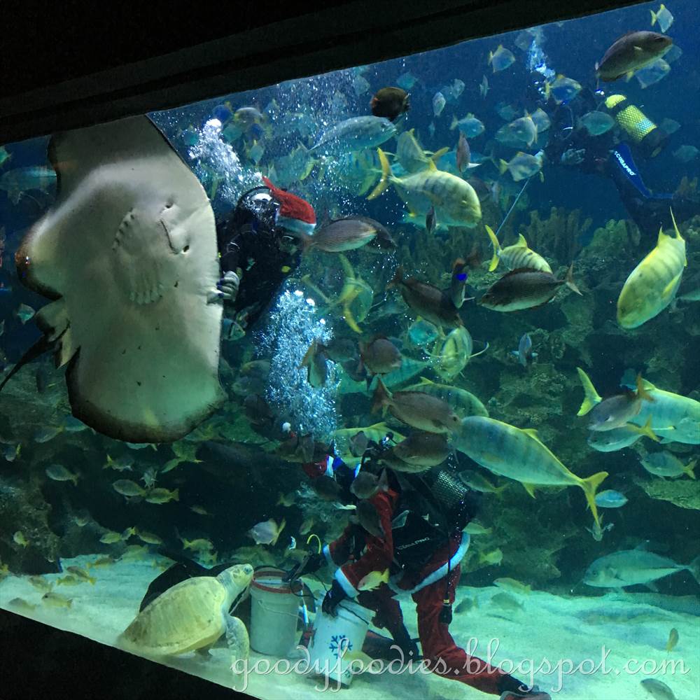 GoodyFoodies Mermaids Aquaria KLCC, Malaysia