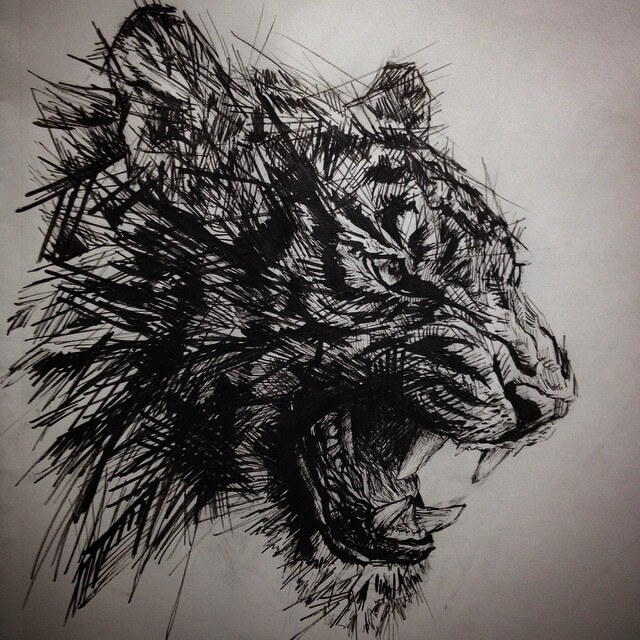 09-Tiger-in-micron-Pen-Matthew-McHugh-Animal-Drawings-and-Surreal-Interpretations-www-designstack-co