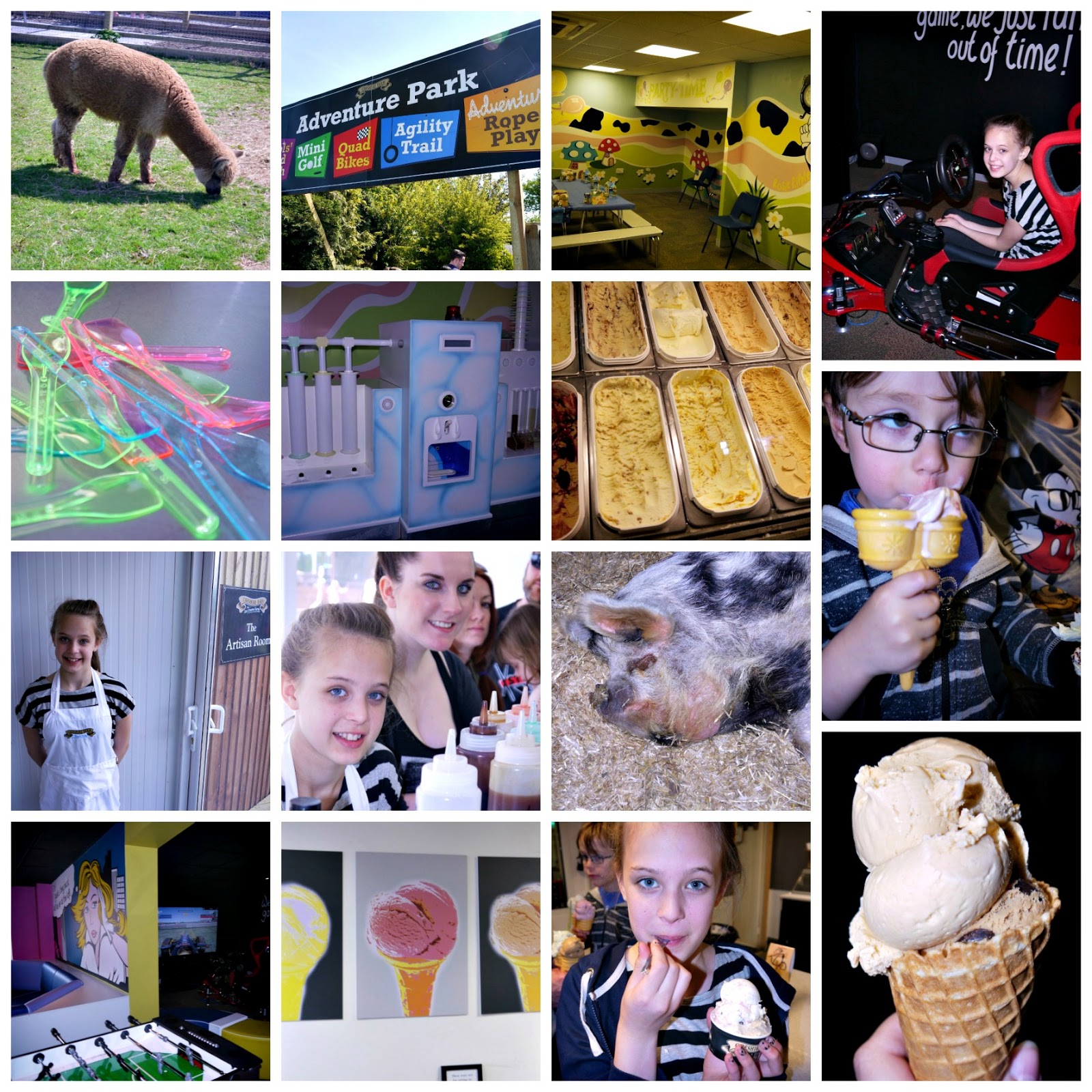 Inside the Wendy House Making Artisan Ice Cream at The Ice Cream Farm