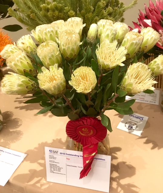 A Passion for Flowers 2018 SAF Outstanding Varieties Competition