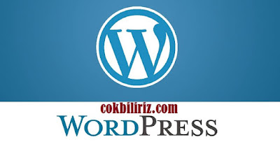 SEO İçin En İyi WordPress Kalıcı Bağlantı Yapısı Hangisidir?