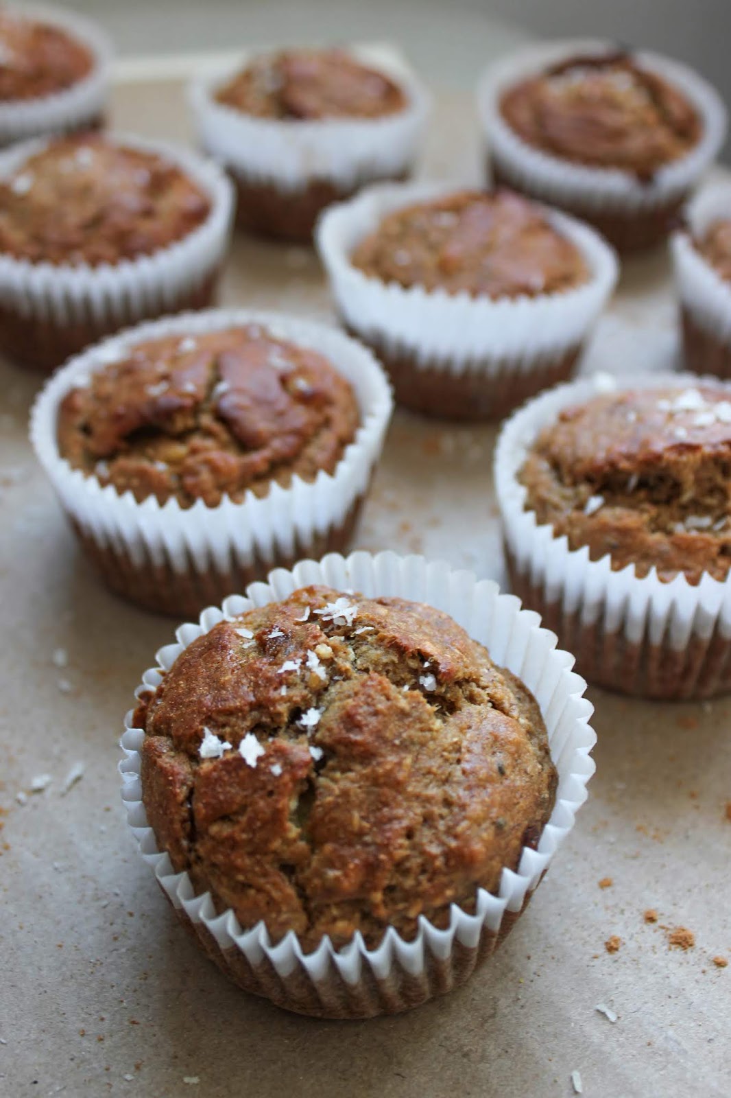 Banana and Coconut Muffins