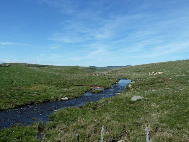 [CR] VTT BUL : Itinérance dans l'Aubrac du 15 au 17 mai 2017 P1100345