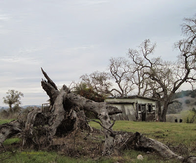 Abandoned property in Templeton, CA. © B. Radisavljevic