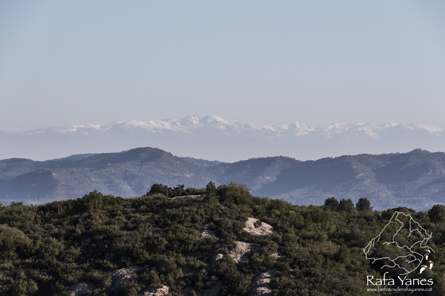 Ruta: Puig Cendrós (499 m) y Sant Salvador de les Espases (413 m) (Els 100 Cims)